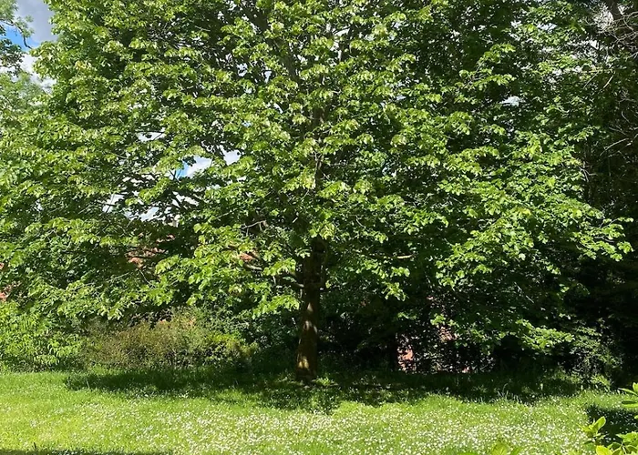 Appartement 36 M2 2-room Apartment, Parking, Fiber Internet, Near Metro, Literie Bultex *