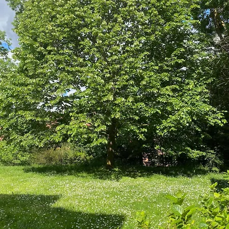 Apartament 36 M2 2-room Apartment, Parking, Fiber Internet, Near Metro, Literie Bultex *